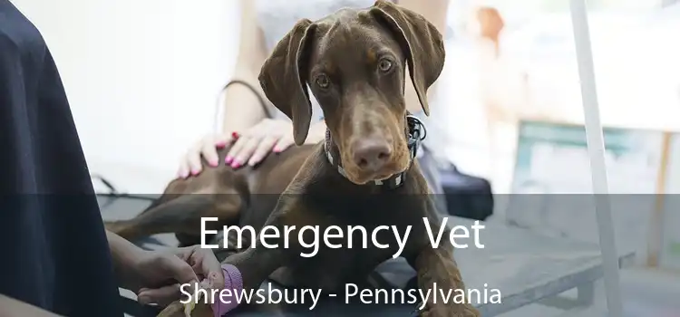 Emergency Vet Shrewsbury - Pennsylvania