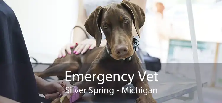 Emergency Vet Silver Spring - Michigan