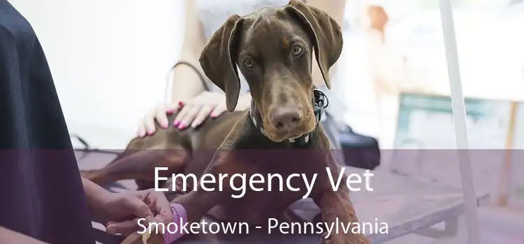 Emergency Vet Smoketown - Pennsylvania