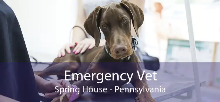 Emergency Vet Spring House - Pennsylvania