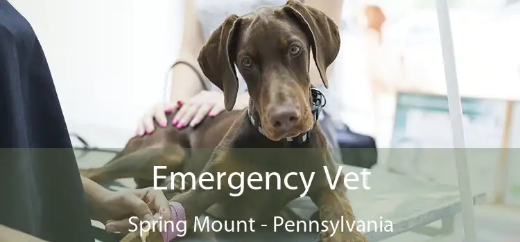 Emergency Vet Spring Mount - Pennsylvania