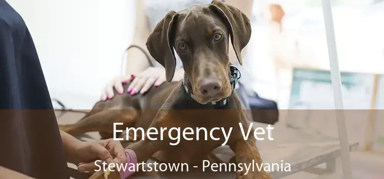 Emergency Vet Stewartstown - Pennsylvania