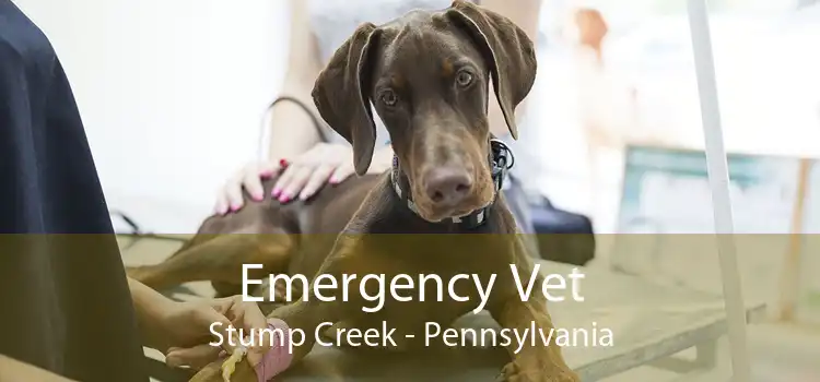 Emergency Vet Stump Creek - Pennsylvania