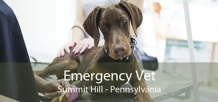 Emergency Vet Summit Hill - Pennsylvania