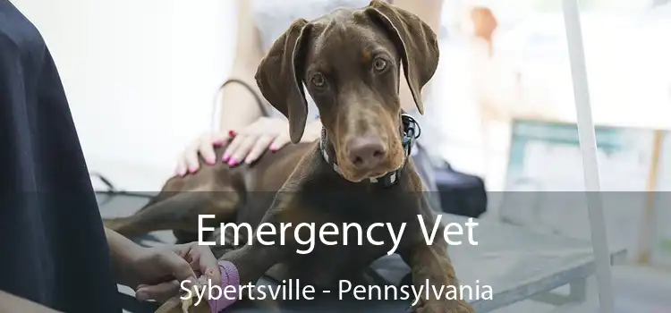 Emergency Vet Sybertsville - Pennsylvania