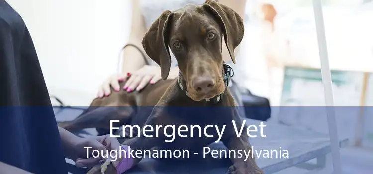 Emergency Vet Toughkenamon - Pennsylvania