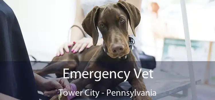 Emergency Vet Tower City - Pennsylvania