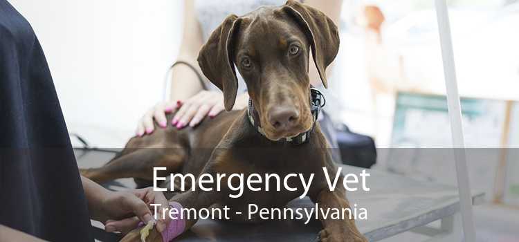 Emergency Vet Tremont - Pennsylvania