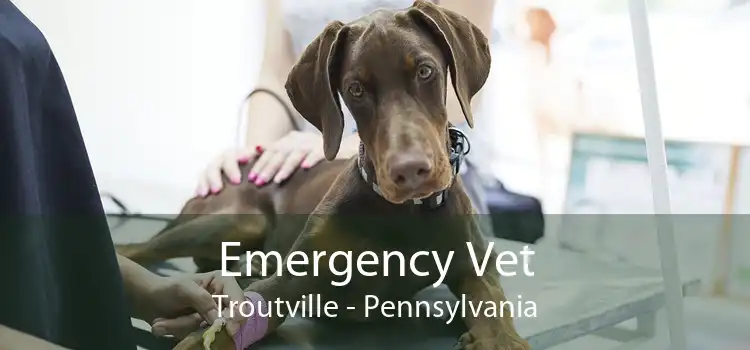 Emergency Vet Troutville - Pennsylvania