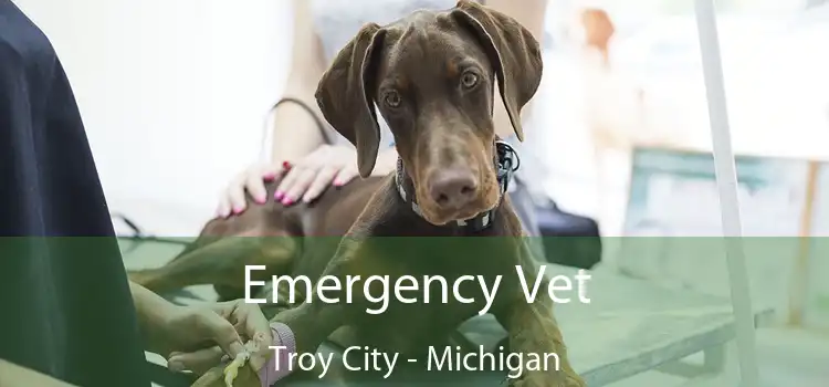 Emergency Vet Troy City - Michigan