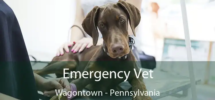 Emergency Vet Wagontown - Pennsylvania