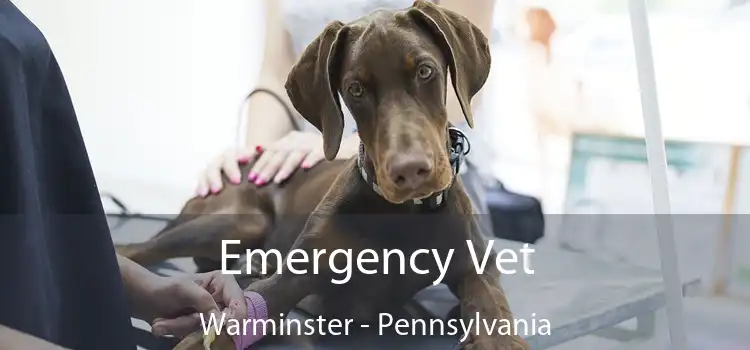 Emergency Vet Warminster - Pennsylvania