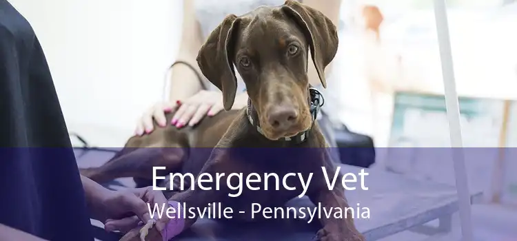 Emergency Vet Wellsville - Pennsylvania