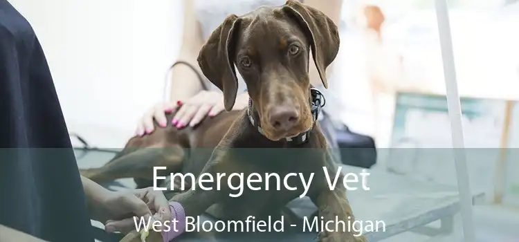 Emergency Vet West Bloomfield - Michigan