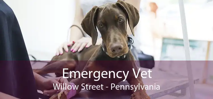 Emergency Vet Willow Street - Pennsylvania