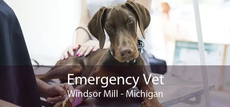 Emergency Vet Windsor Mill - Michigan