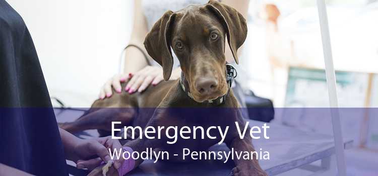 Emergency Vet Woodlyn - Pennsylvania