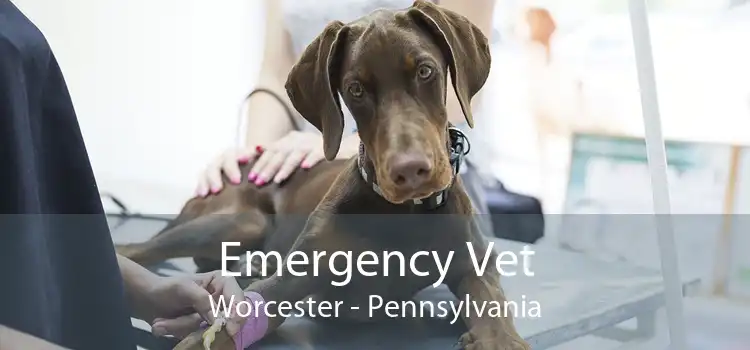 Emergency Vet Worcester - Pennsylvania