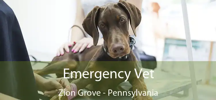 Emergency Vet Zion Grove - Pennsylvania