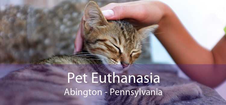 Pet Euthanasia Abington - Pennsylvania