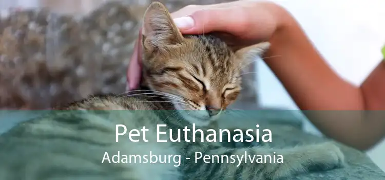 Pet Euthanasia Adamsburg - Pennsylvania