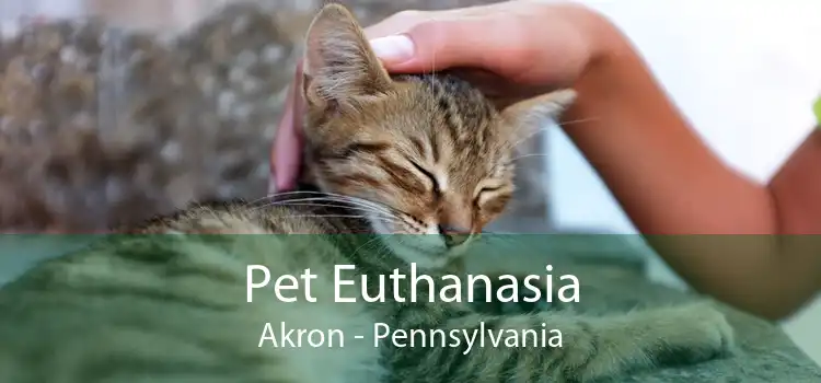 Pet Euthanasia Akron - Pennsylvania