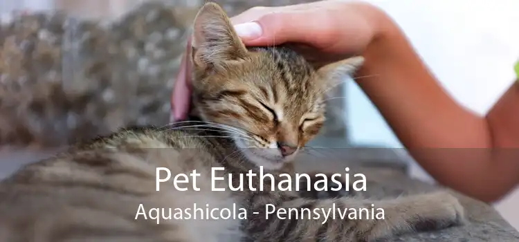 Pet Euthanasia Aquashicola - Pennsylvania
