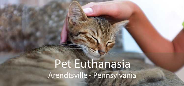 Pet Euthanasia Arendtsville - Pennsylvania