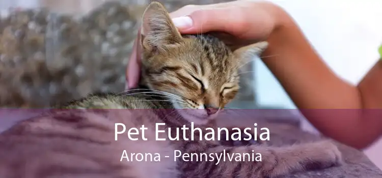 Pet Euthanasia Arona - Pennsylvania