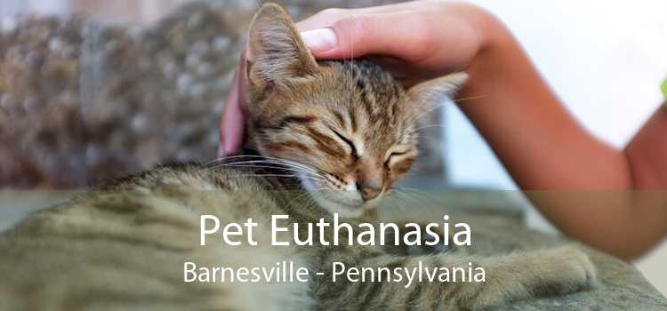 Pet Euthanasia Barnesville - Pennsylvania