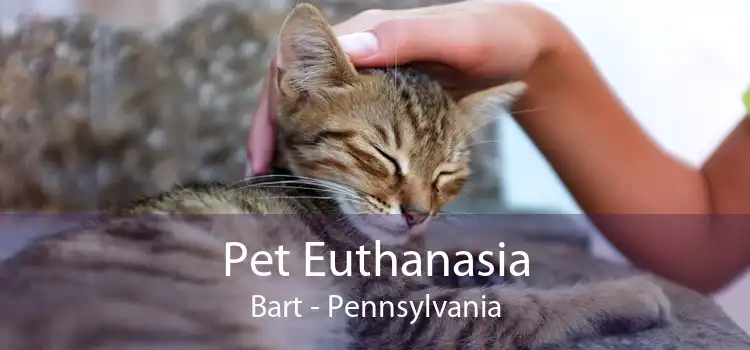 Pet Euthanasia Bart - Pennsylvania