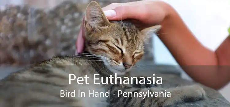 Pet Euthanasia Bird In Hand - Pennsylvania
