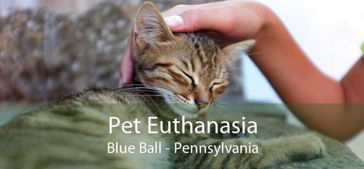 Pet Euthanasia Blue Ball - Pennsylvania