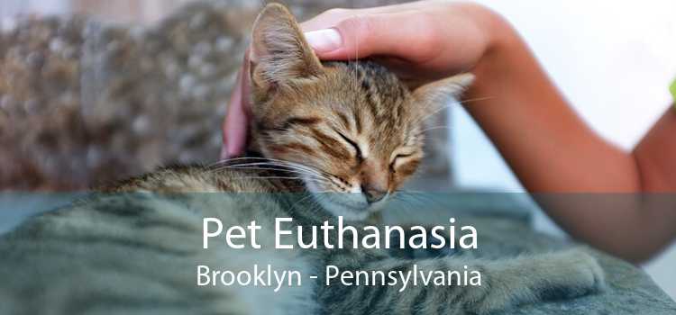Pet Euthanasia Brooklyn - Pennsylvania