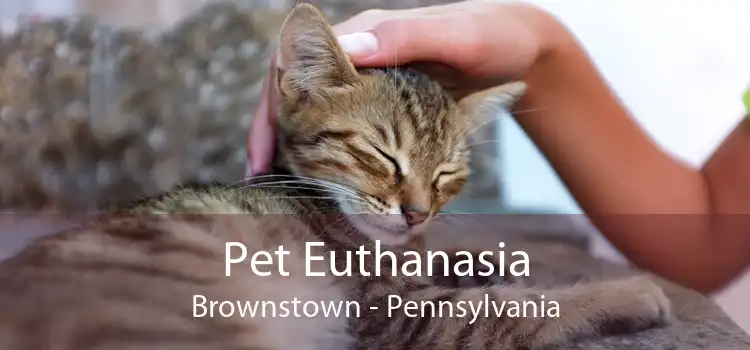 Pet Euthanasia Brownstown - Pennsylvania