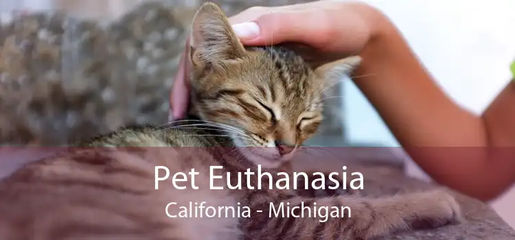 Pet Euthanasia California - Michigan