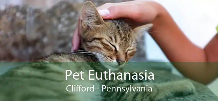 Pet Euthanasia Clifford - Pennsylvania
