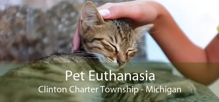 Pet Euthanasia Clinton Charter Township - Michigan