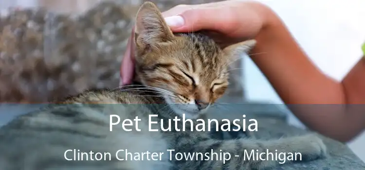 Pet Euthanasia Clinton Charter Township - Michigan