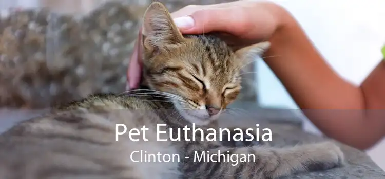 Pet Euthanasia Clinton - Michigan