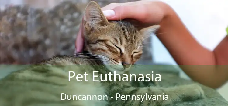 Pet Euthanasia Duncannon - Pennsylvania