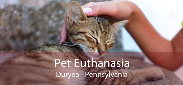 Pet Euthanasia Duryea - Pennsylvania