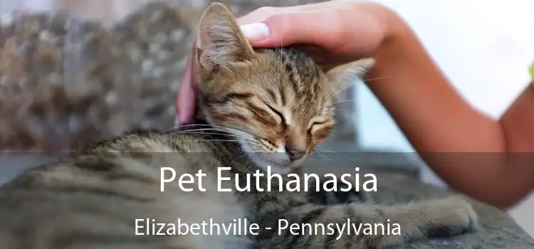 Pet Euthanasia Elizabethville - Pennsylvania