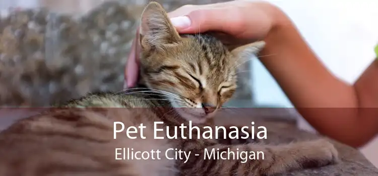 Pet Euthanasia Ellicott City - Michigan