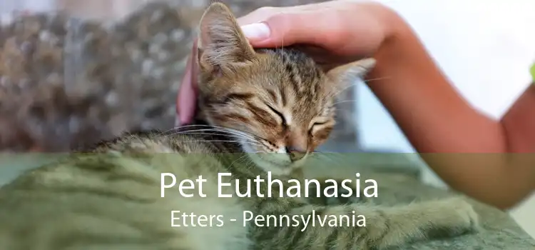 Pet Euthanasia Etters - Pennsylvania