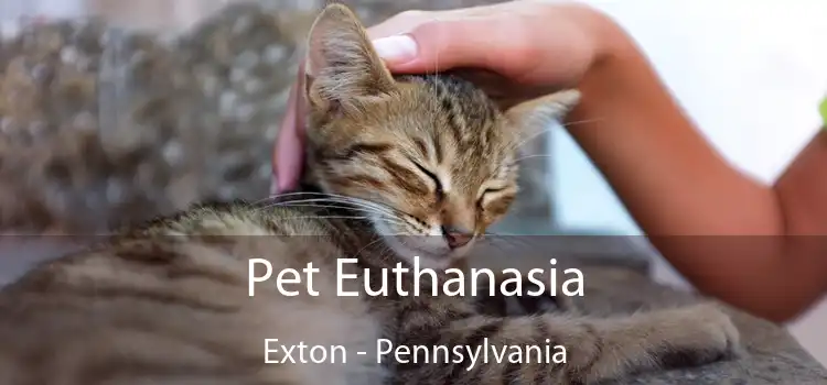 Pet Euthanasia Exton - Pennsylvania