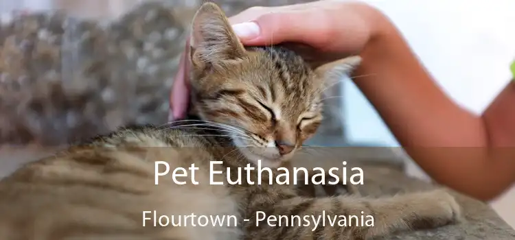 Pet Euthanasia Flourtown - Pennsylvania