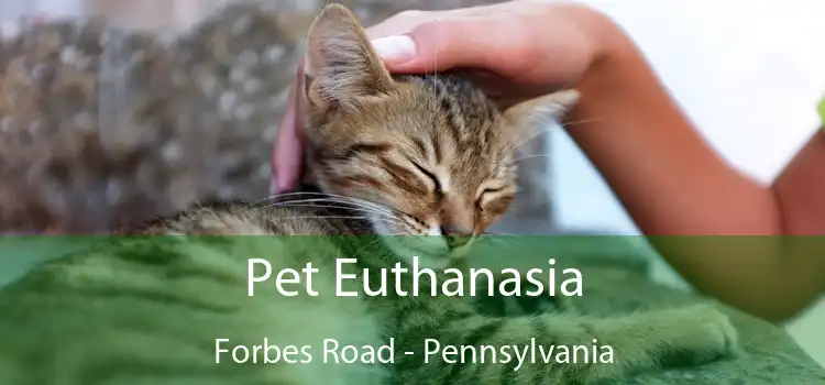Pet Euthanasia Forbes Road - Pennsylvania