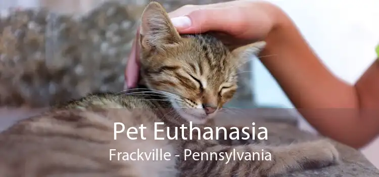 Pet Euthanasia Frackville - Pennsylvania