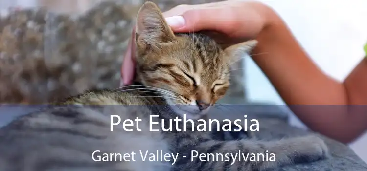 Pet Euthanasia Garnet Valley - Pennsylvania
